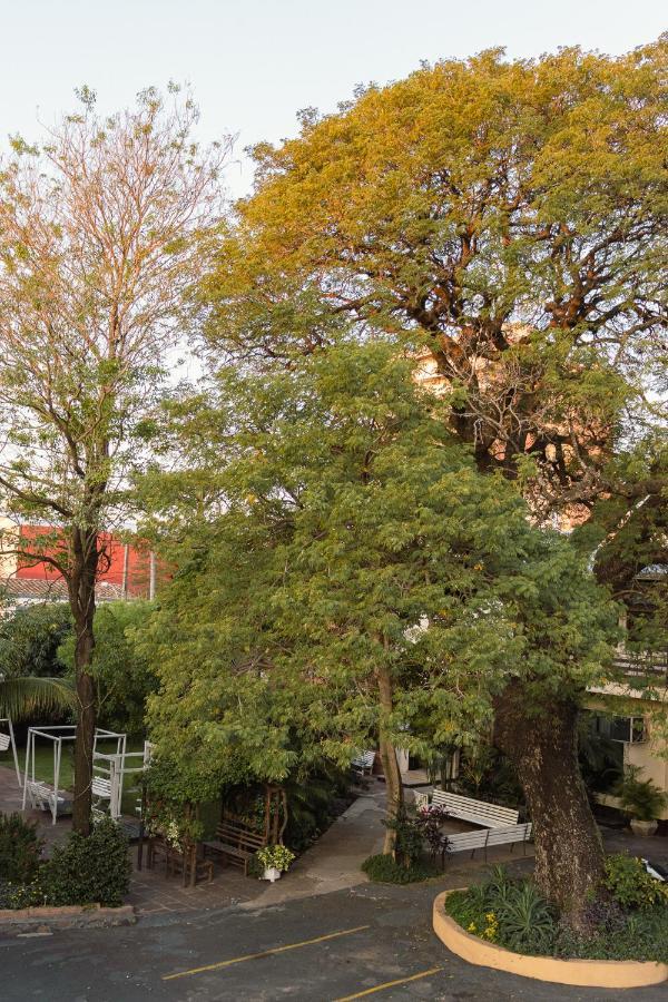 Das Heim Hotel Asuncion Luaran gambar