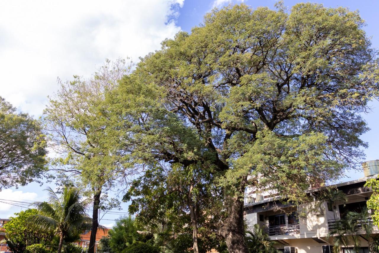 Das Heim Hotel Asuncion Luaran gambar